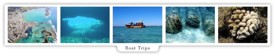 Boat excursion in  Porto Cesareo